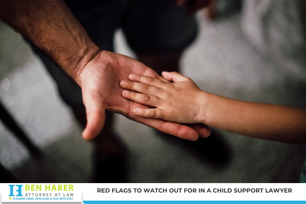 Red Flags to Watch Out For in a Child Support Lawyer